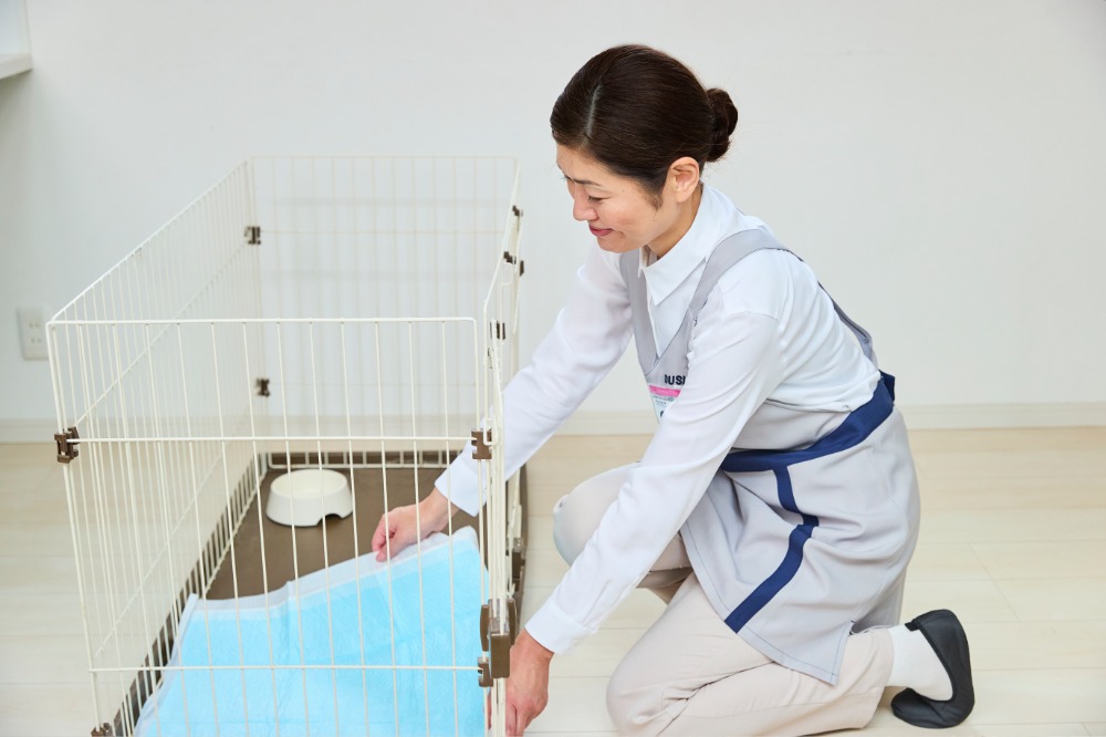 ペット周りのお掃除